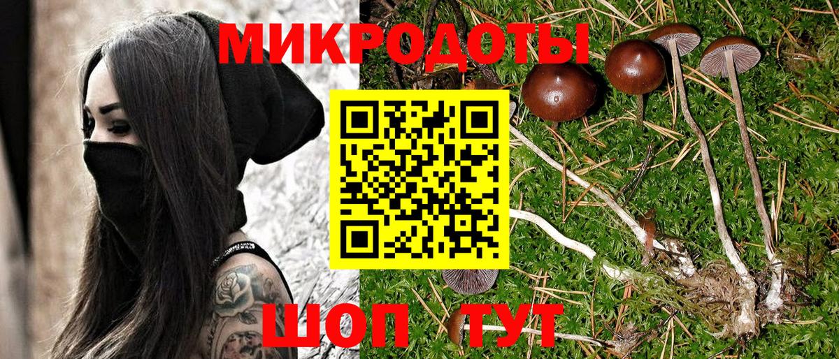 Псилоцибиновые грибы Psilocybine cubensis  наркотики  Пятигорск  Вход с VPN 