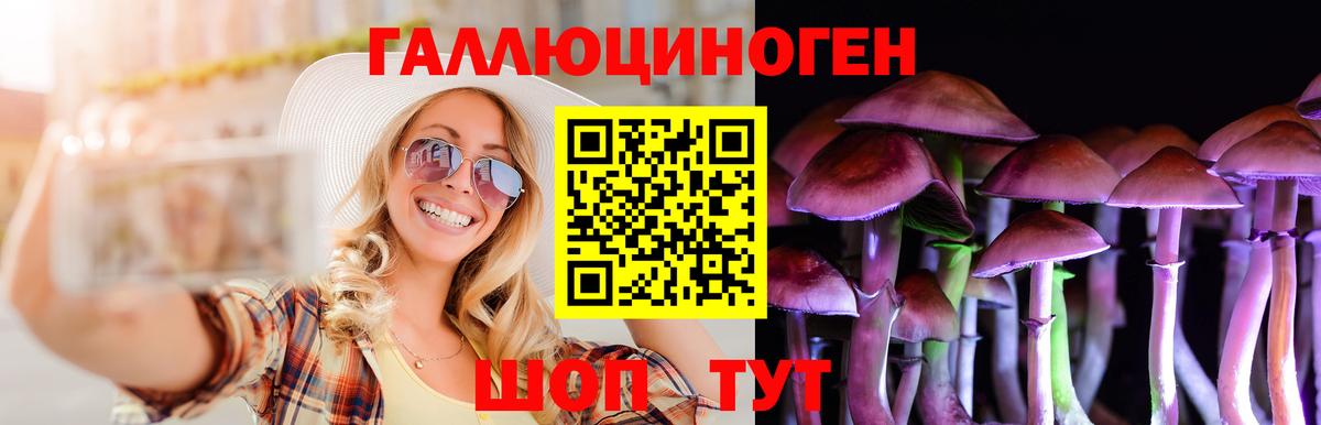 Псилоцибиновые грибы прущие грибы Пятигорск
